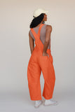 Free People Good Luck Barrel Overalls