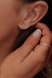 Dragonfly Studs