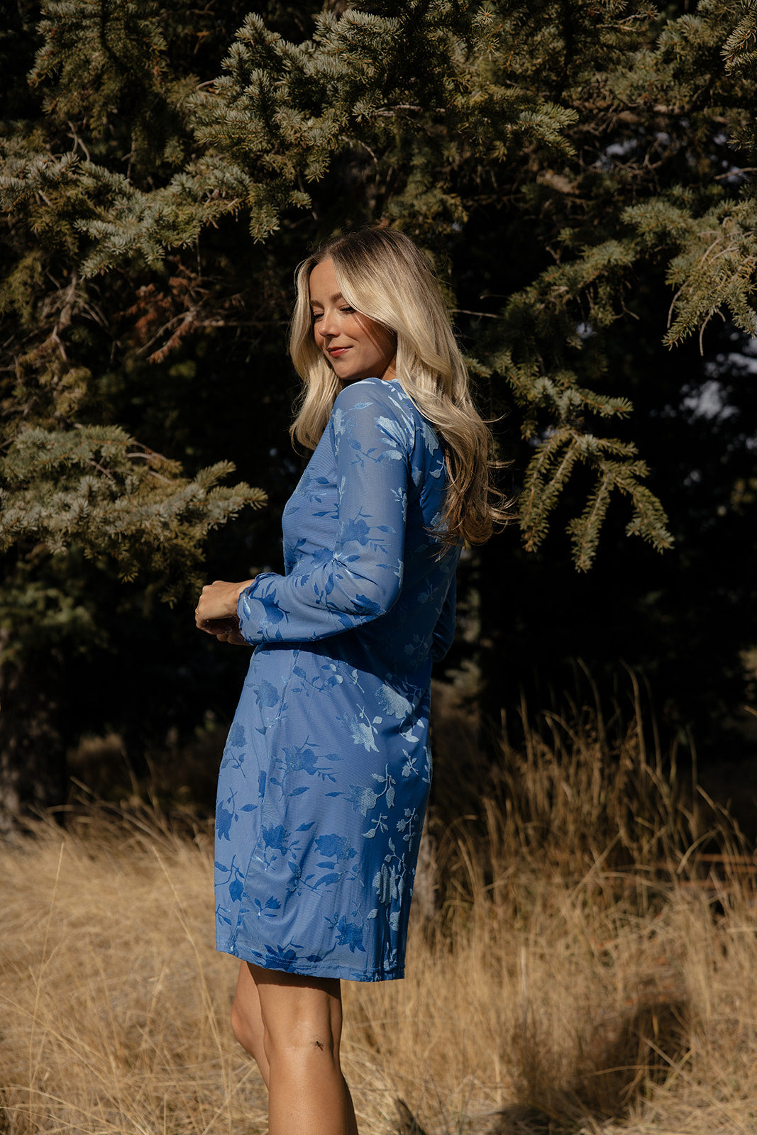 Winterberry Lace Dress