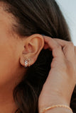 Brown & White Checkered Hoops