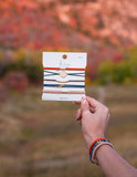 Discover - Hair Tie Bracelet