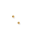 Screwback Stud Earrings - Evelyn Gold